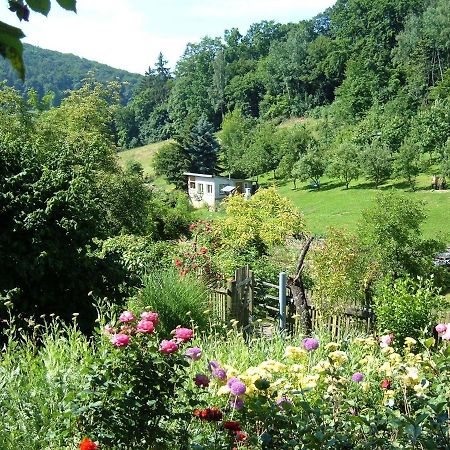 Ferienwohnungen "Allerleigruen" Langenroda Bagian luar foto