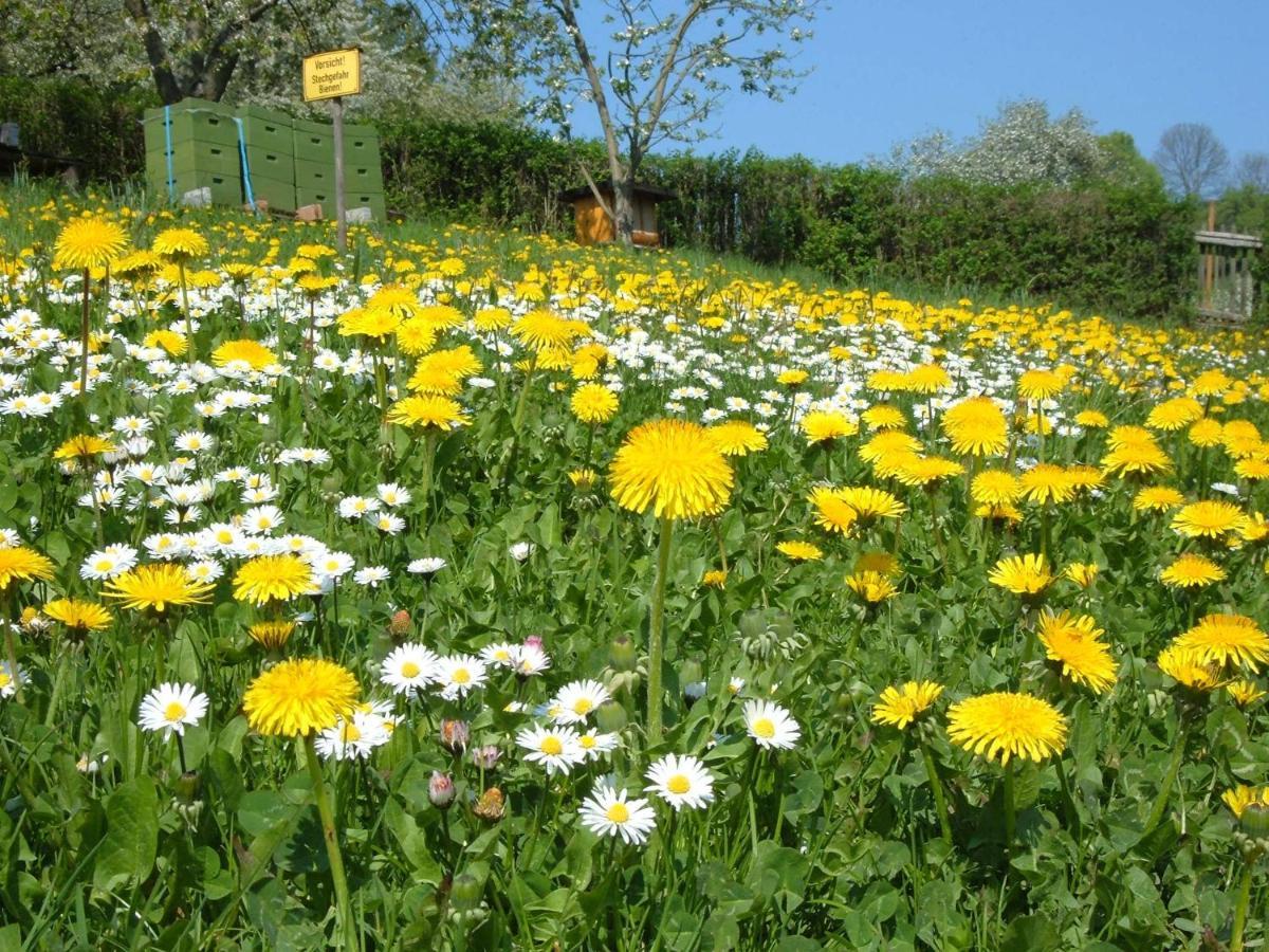 Ferienwohnungen "Allerleigruen" Langenroda Bagian luar foto