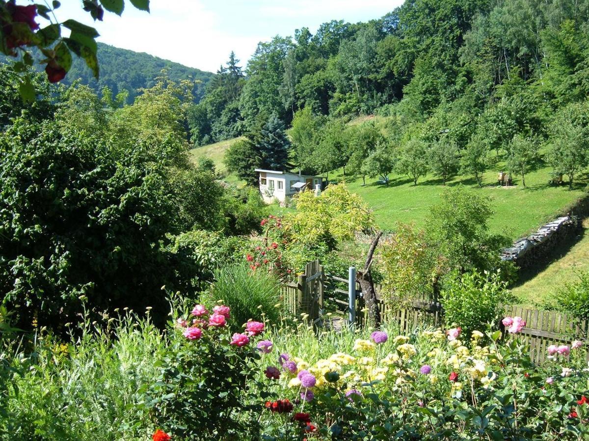 Ferienwohnungen "Allerleigruen" Langenroda Bagian luar foto